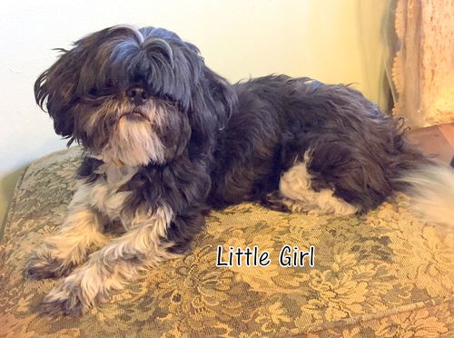 Little Girl (Ritzy)