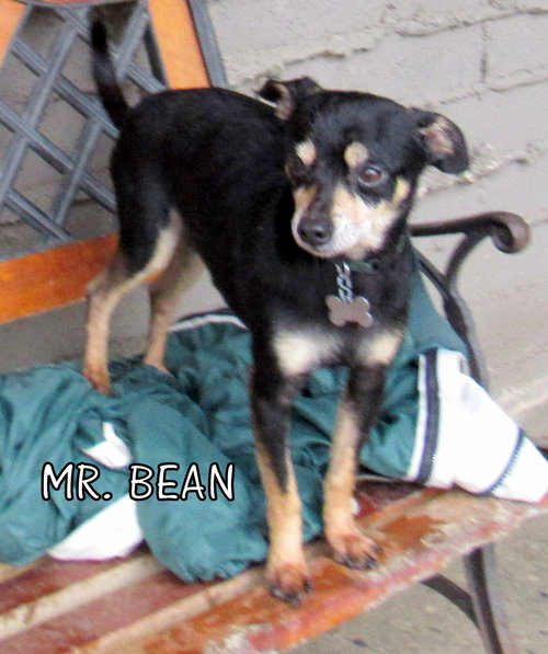 Mr. Bean