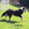 Murdock