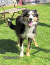 Murdock
