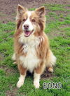 Bono (Ritzy)