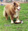 Bono (Ritzy)