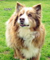 Bono (Ritzy)