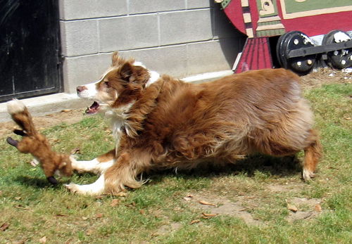 Bono (Ritzy)