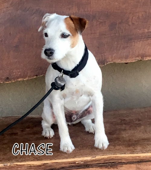 Chase (Ritzy)