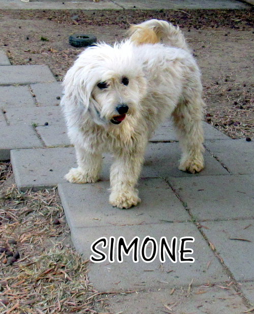 Simone (Ritzy)