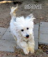 Simone (Ritzy)