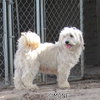Simone (Ritzy)