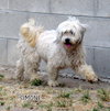 Simone (Ritzy)