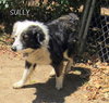 Sully (Ritzy)
