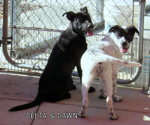 Delta and Dawn