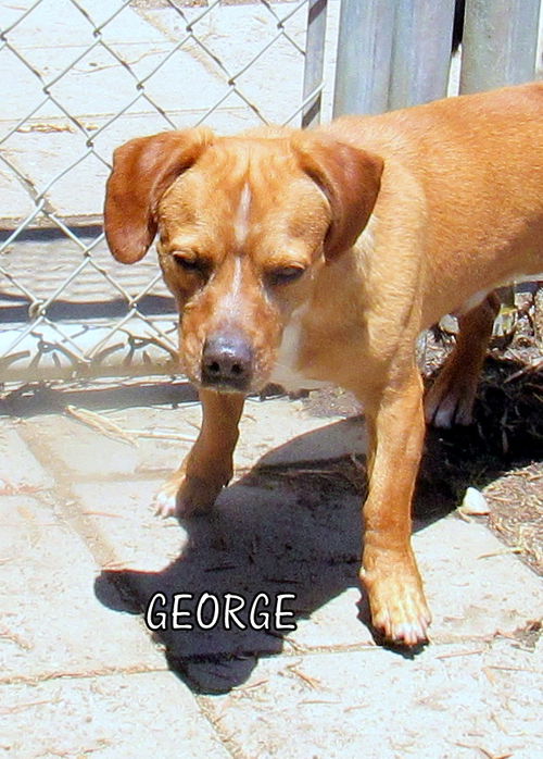 George