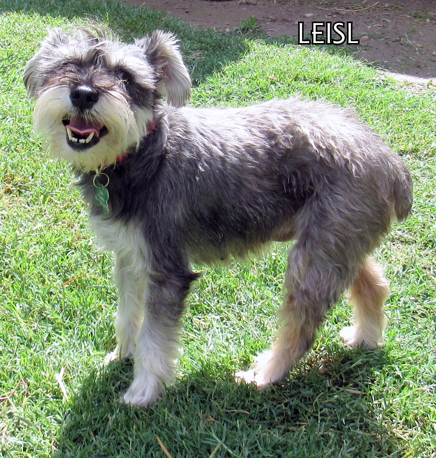 Leisl (Ritzy)'s Web Page