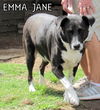 Emma Jane (GrandPaws)