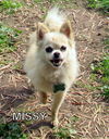 Missy (Ritzy)