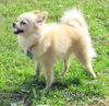 Missy (Ritzy)