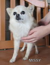 Missy (Ritzy)