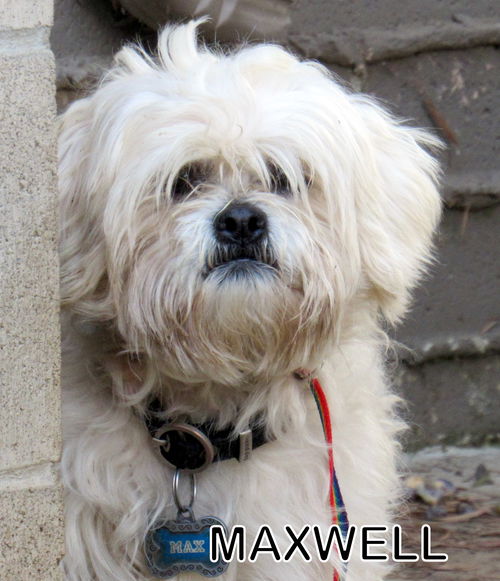 Maxwell (Ritzy)
