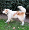 Shiloh