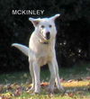 McKinley