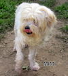Mimi (Ritzy)