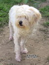 Mimi (Ritzy)