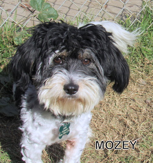Mozey (Ritzy)
