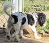 Mozey (Ritzy)