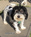 Mozey (Ritzy)
