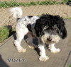 Mozey (Ritzy)