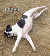 Bessie