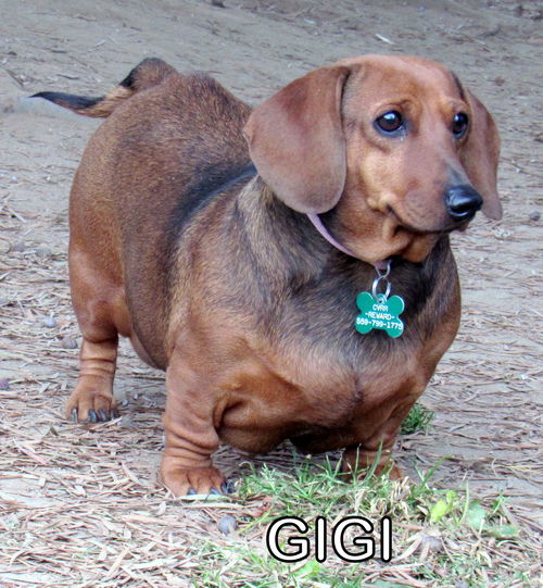 Gigi (Ritzy)