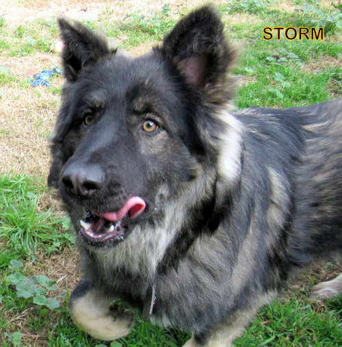 Storm