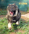 Storm