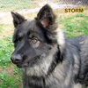 Storm