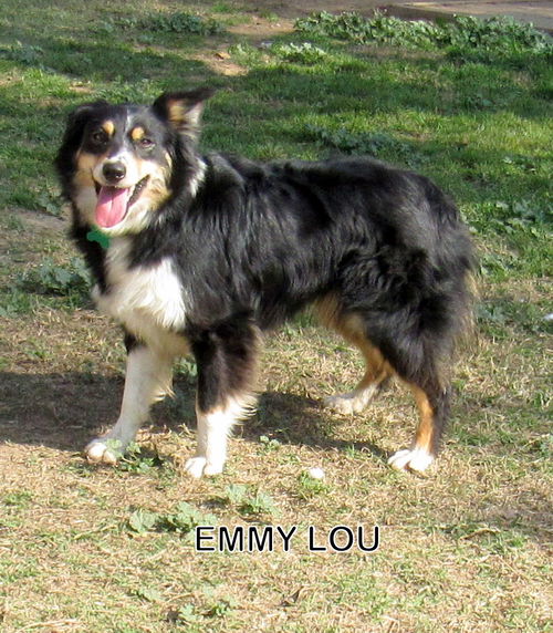 Emmy Lou (Ritzy)