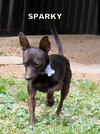 Sparky
