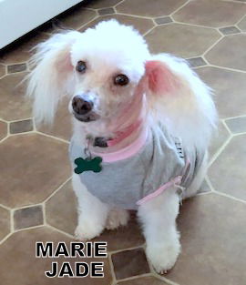 Marie Jade (Ritzy)