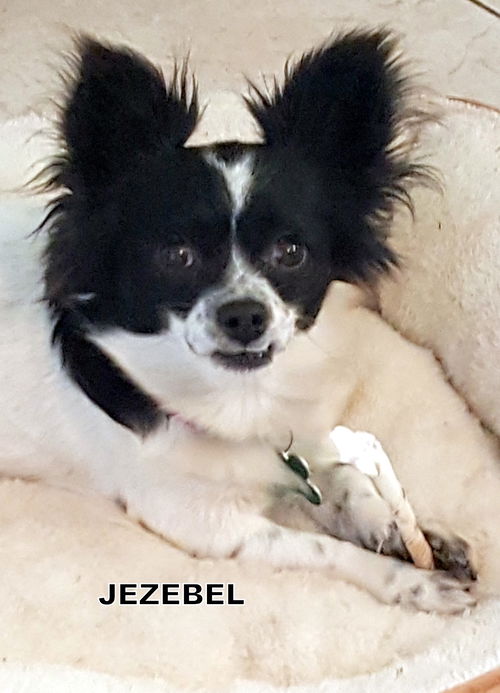 Jezebel