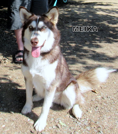 Meika (Ritzy)