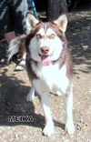 Meika (Ritzy)