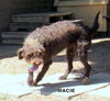 Macie (Ritzy)