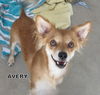 Avery