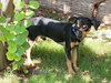 Buster