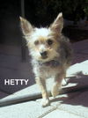 Hetty