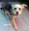 Hetty