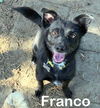 Franco
