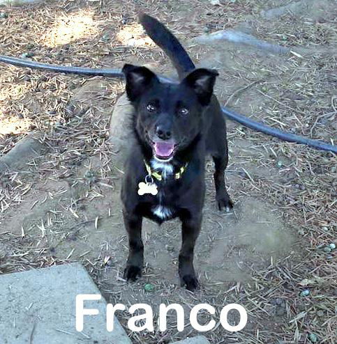 Franco