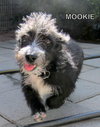 Mookie