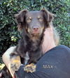 Max